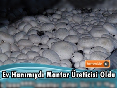 Kahramanmaraş'ta bir başarı hikayesi