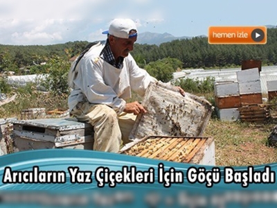 Portakal çiçeği kokulu bal hasadı tamamlandı