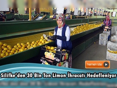 Irak'a limon ihracatı başladı