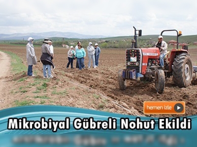 Kırıkkale'de mikrobiyal gübre ile nohut ekildi