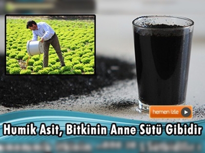 Kazdağları'ndan meyve sebzelere ''anne sütü'' üretiyorlar 