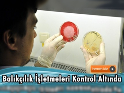 Bakanlığın yetkilendirdiği Uludağ Üniversitesi balıkçılık işletmelerini denetliyor