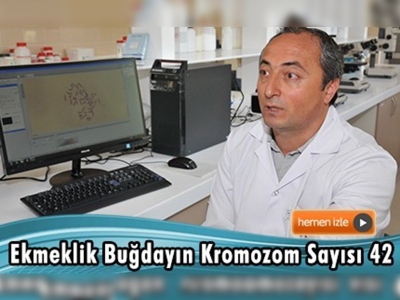 DR. KARAOĞLU: KAMUOYUNDA ÇOK FAZLA BİLGİ KİRLİLİĞİ VAR