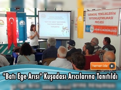 Aydın'da Arıcılara 20 Adet Ana Arı Dağıtıldı