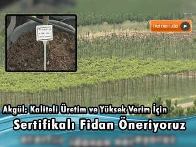 Sertifikalı fidan kullanmak neden önemli?