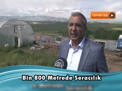 Erzurumlu kadınlar bin 800 metrede seracılık yapıyor