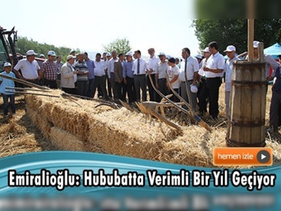 Kahramanmaraş'ta Hububat Hasat Bayramı 