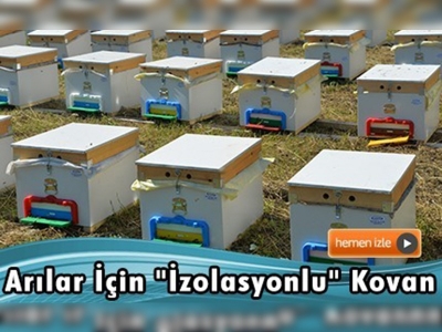 Arılar için ''izolasyonlu'' kovan 