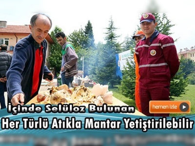 ''Bolu Ormanlarında Yetişen Doğal Mantar Türleri Projesi''