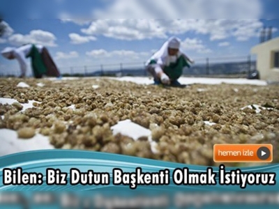 İlçede yaklaşık 500 ton dut üretiliyor