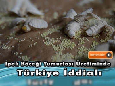 Türkiye, ipek böceği yumurtası üretiminde iddialı 