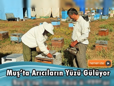 Üretime açılan yaylalar arıcıların da yüzünü güldürdü