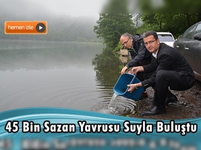 Ordu'da Göllere 45 Bin Sazan Yavrusu Bırakıldı