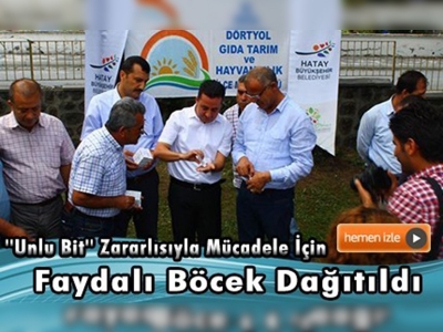 Narenciye üreticilerine faydalı böcek dağıtımı