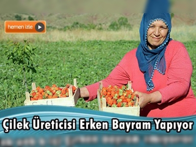 Çilek üreticisi erken bayram yapıyor