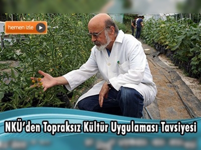 Seralarda ''topraksız kültür'' verimi artırıyor