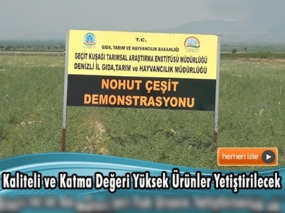 Çal İlçesinde ''Nohut Çeşit Demonstrasyonu'' 