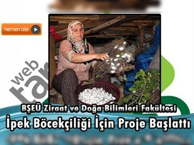 ''Bilecik bezi'' üretimi ipek böcekçiliği ile canlandırılacak 