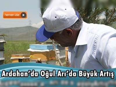 Ardahan'da oğul arıda yüzde 50 artış oldu