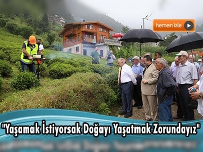 ''Organik Çay Tarımı Projesi''