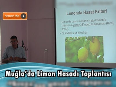 Muğla Dalaman'da limon hasadı ve pazarlamasına yönelik toplantı