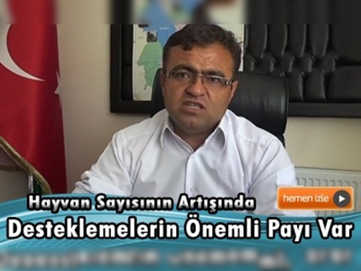 Aksaray'da hayvan sayısı 7 yılda 8 kat arttı