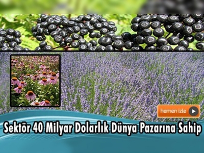 Trabzon'da tıbbi ve aromatik bitki çalıştayı düzenlendi