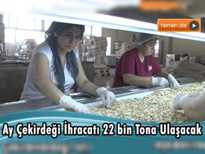 Üretilen 170 bin ton çekirdeğin çoğu ülkemizde tüketiliyor