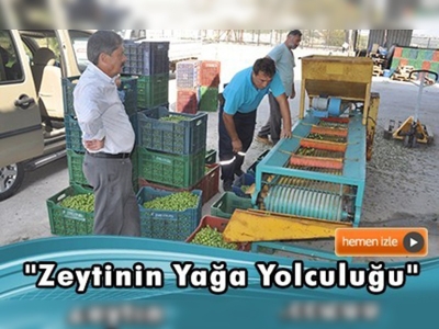 ''Zeytinin yağa yolculuğu'' başladı 