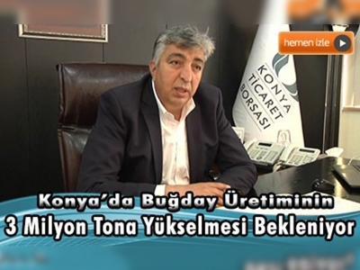 Buğday üretiminde artış bekleniyor