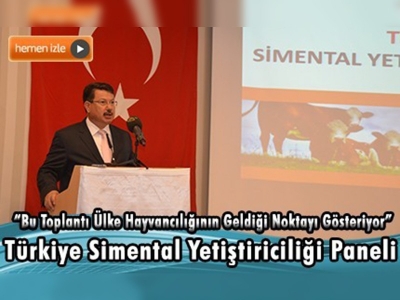 Türkiye Simental Yetiştiriciliği paneli İzmir'de yapıldı