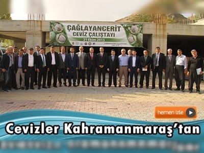 Cevizler Kahramanmaraş'tan