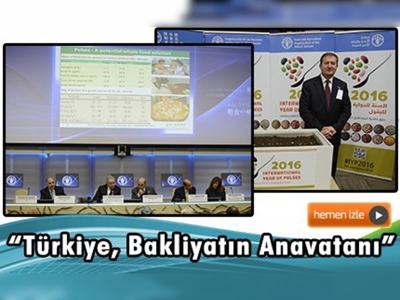 2016 Uluslararası Bakliyat Yılı, FAO üyesi ülkeler tanıtım toplantısı