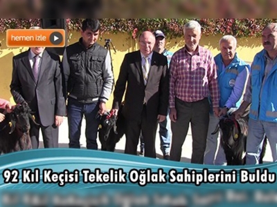 Kıl keçisi tekelik oğlaklar sahiplerine teslim edildi