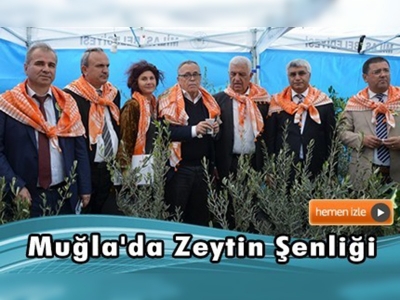 2. Milas Zeytin Hasat Şenliği 