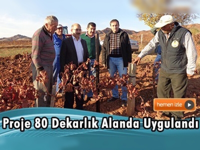 ''Organik Sofralık Üzüm Üretiminin Yaygınlaştırılması Projesi''