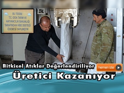 Üreticinin zeytinini ücretsiz sıkıp posasını ihraç ediyor