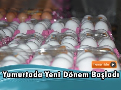 Yumurta satışında yeni dönem  başlıyor