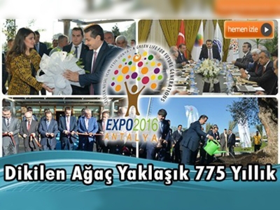 Bakan Çelik, EXPO 2016 Antalya alanına ağaç dikti