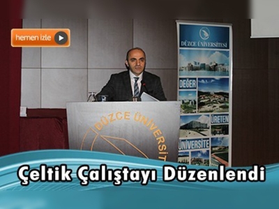 Çeltikte sorunlar ve çözümler masaya yatırıldı