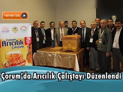 Çorum'da Arıcılık Çalıştayı Düzenlendi