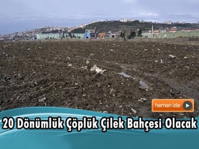 Zonguldak Alaplı'da örnek uygulama