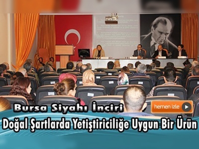 Bursa Siyahı İnciri Yetiştiriciliği ele alındı