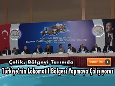 Güneydoğu Anadolu Bölgesi Ortak Akıl Toplantısı