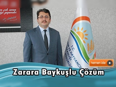 Farenin verdiği zarara baykuşlu çözüm