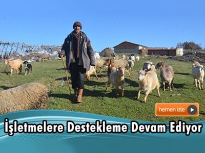 Hayvancılık işletmelerinin umudu sürü yönetimi elemanları