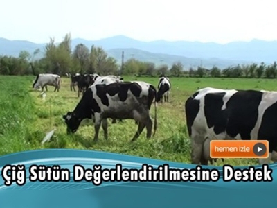 Süt tozunun ve çiğ sütün yurt içinden temin edilmesi esas olacak