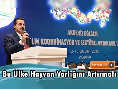 Çelik: Kimsenin keyfi olarak hareket etmeye hakkı yok 