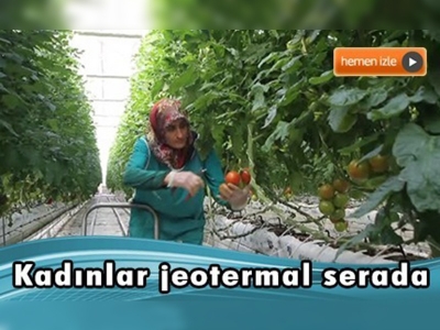 Jeotermal sera kadınların ekmek teknesi oldu