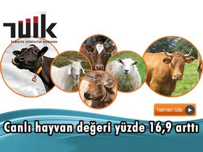 Canlı hayvan ve hayvansal ürün fiyatları açıklandı